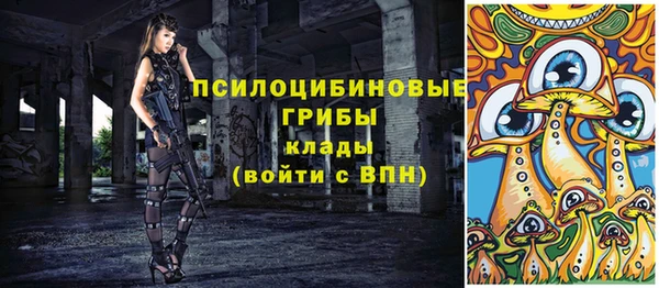 дурь Аркадак