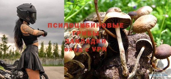 дурь Аркадак